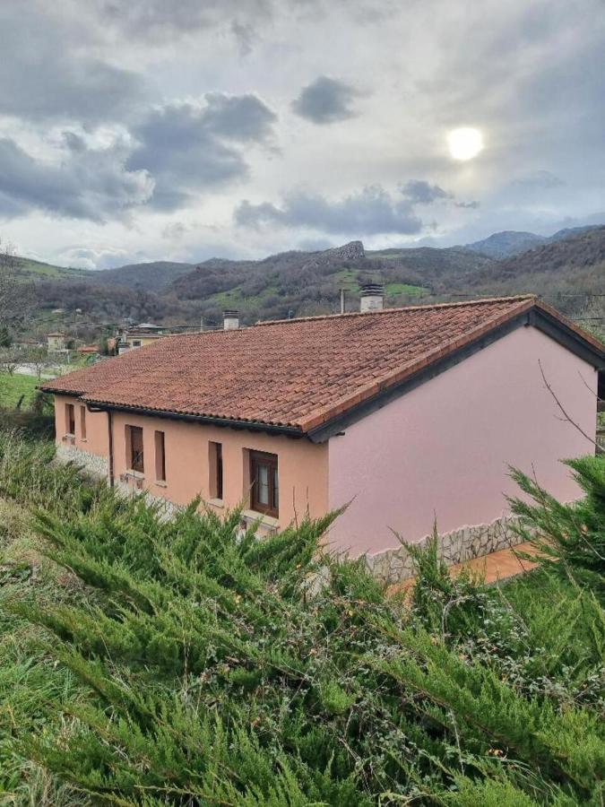 Apartamentos El Pedrayu Onís エクステリア 写真